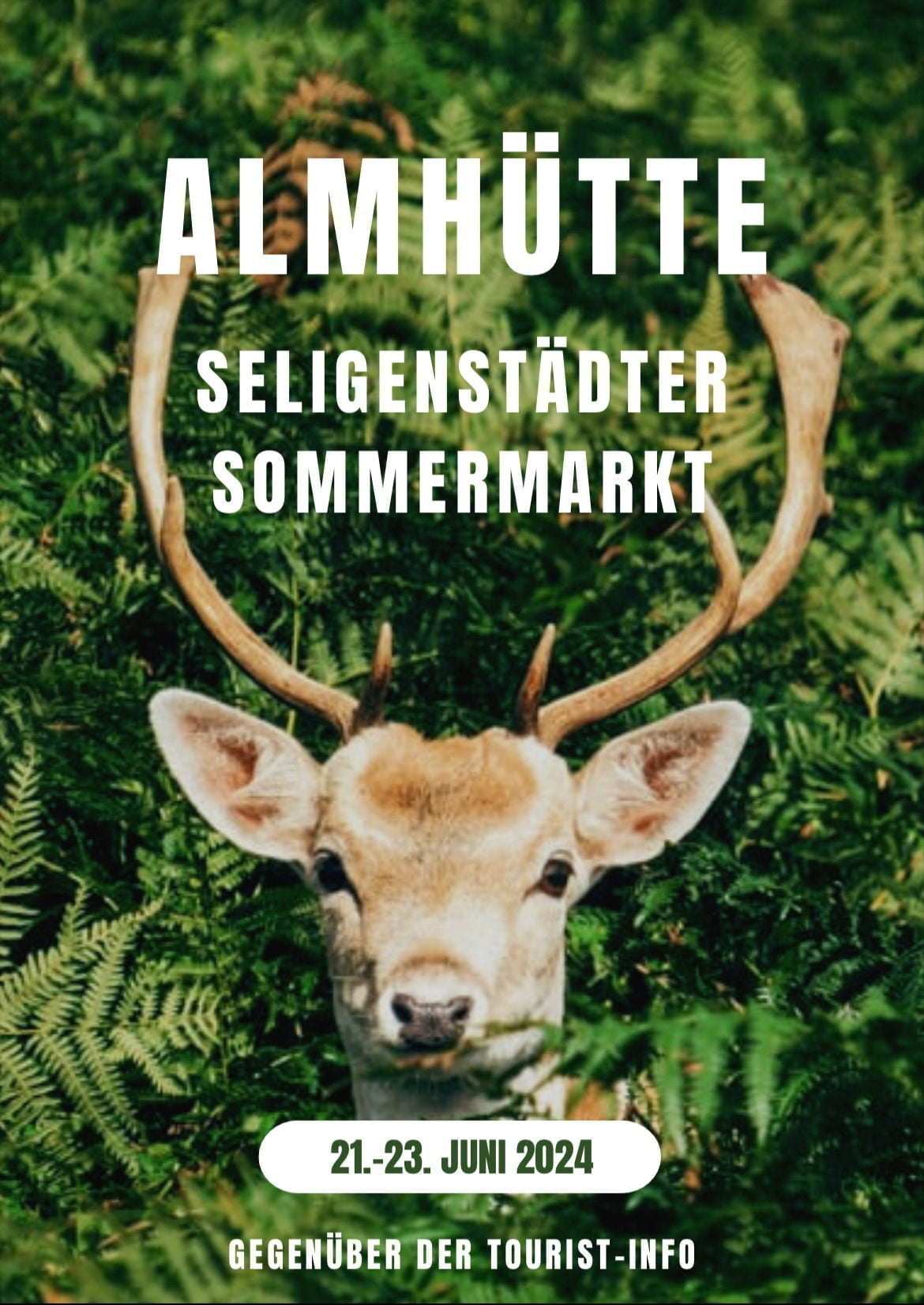 Flyer Sommermarkt bei der Almhütte